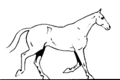 LE TROT