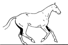 LE GALOP